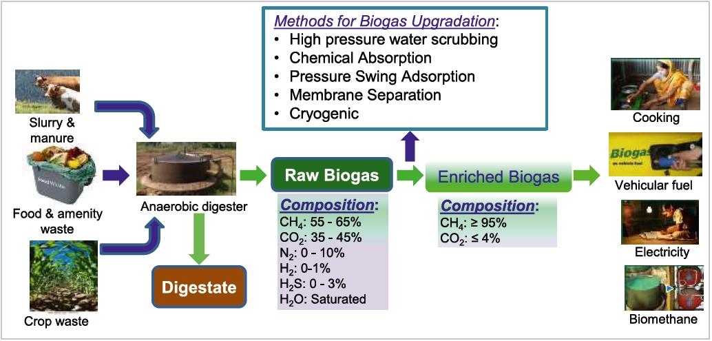 Biogas Purification